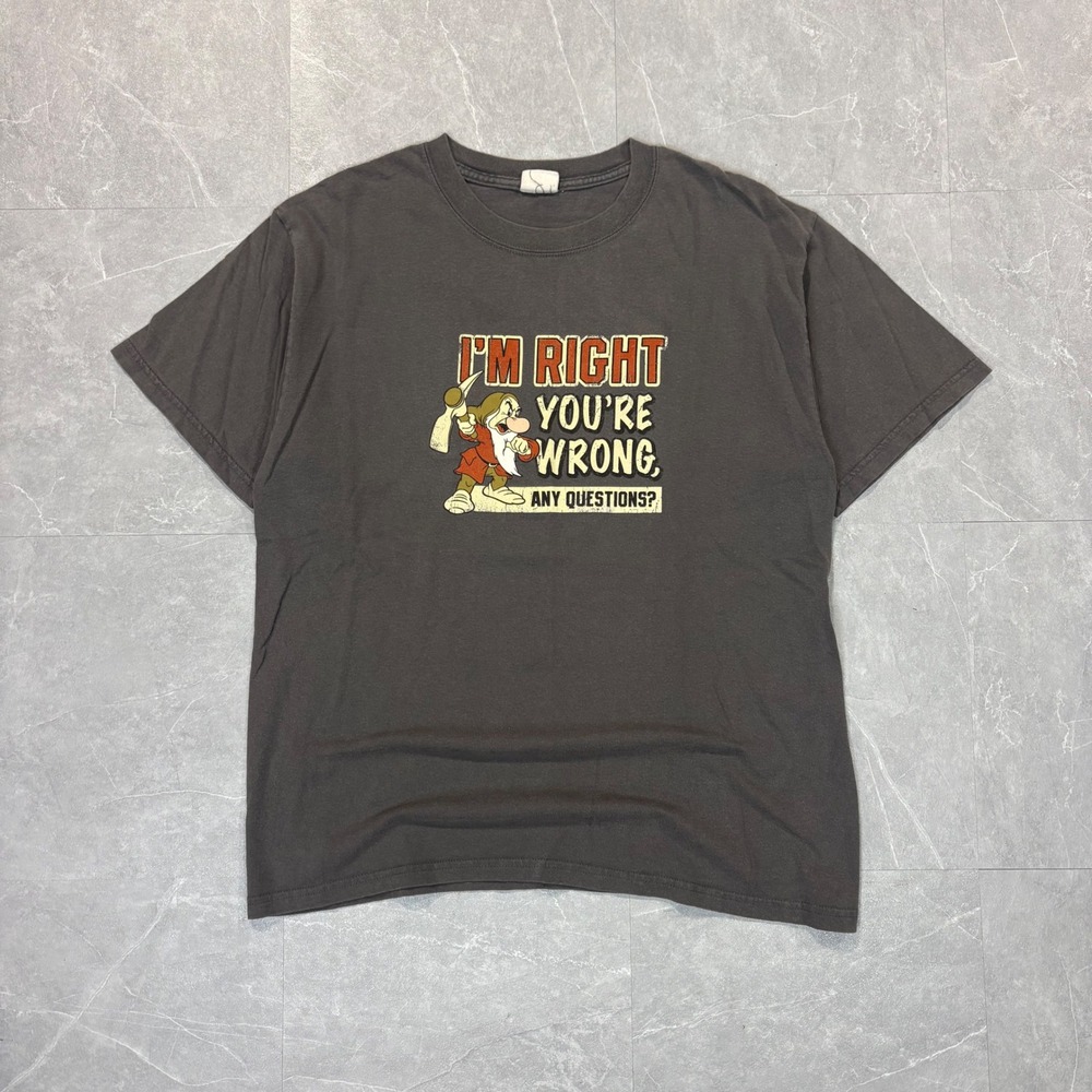 Disney Grumpy Im Right Youre Wrong Graphic T-Shirt Mens XL Faded Charcoal Gray